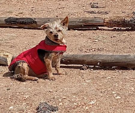 Beatrice Animal Hospital