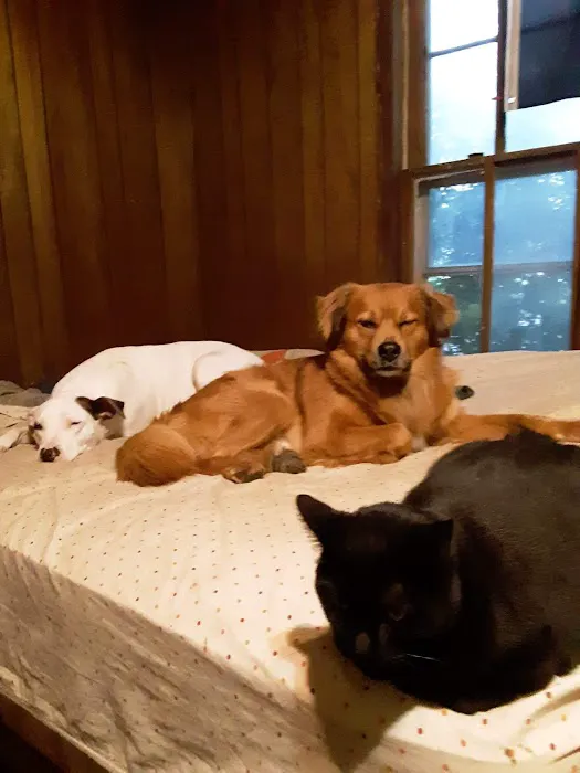 Beatrice Animal Hospital Picture 4