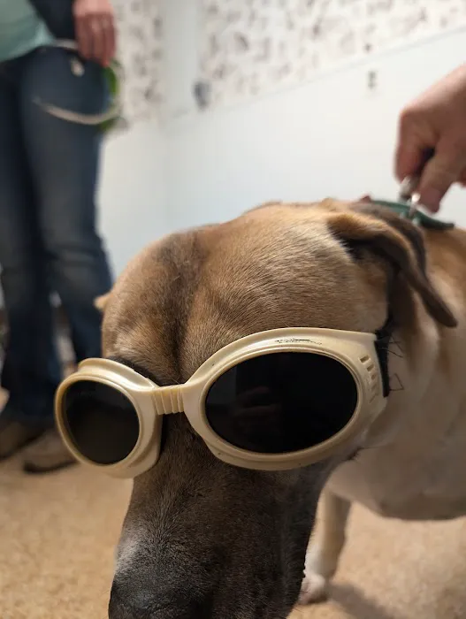 Beatrice Animal Hospital Picture 5