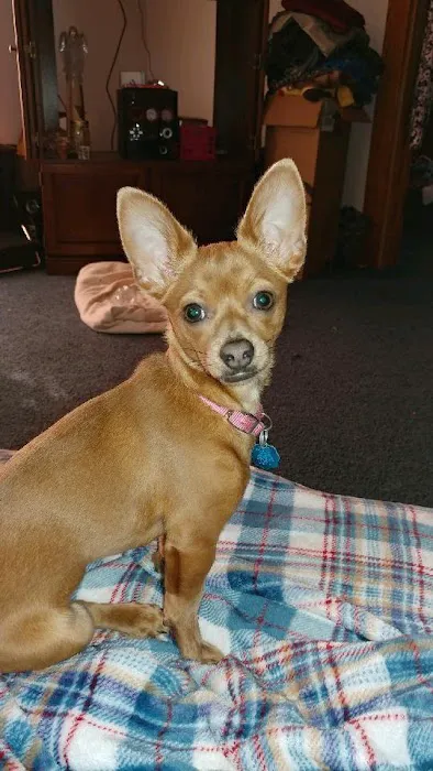 Beatrice Animal Hospital Picture 3