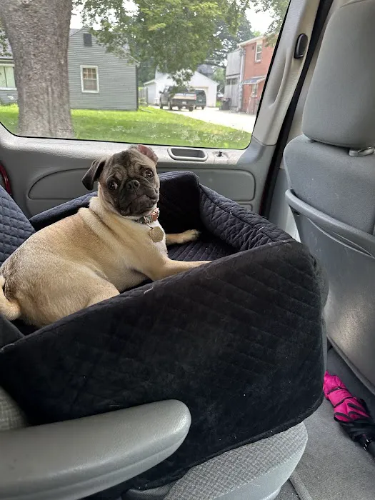 Beatrice Animal Hospital Picture 6