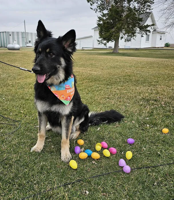 Oakview Veterinary Clinic Picture 2