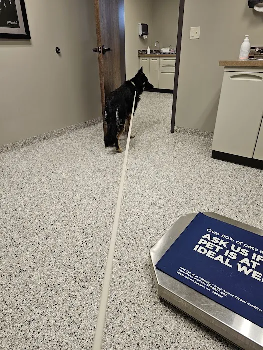 Oakview Veterinary Clinic Picture 6