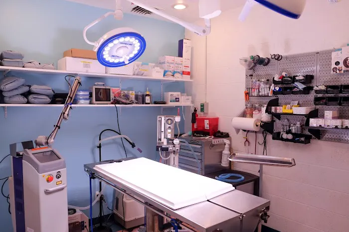 Union Hill Animal Hospital Picture 2