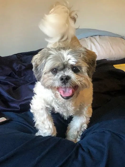 Union Hill Animal Hospital Picture 6