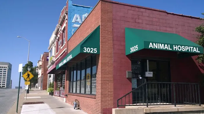 Union Hill Animal Hospital Picture 3