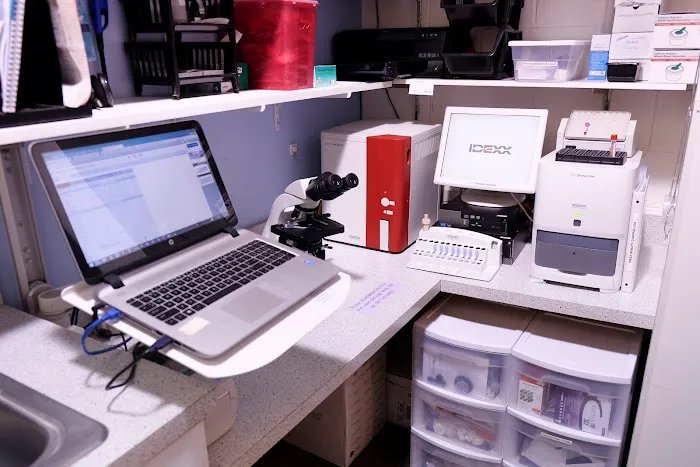 Union Hill Animal Hospital Picture 7