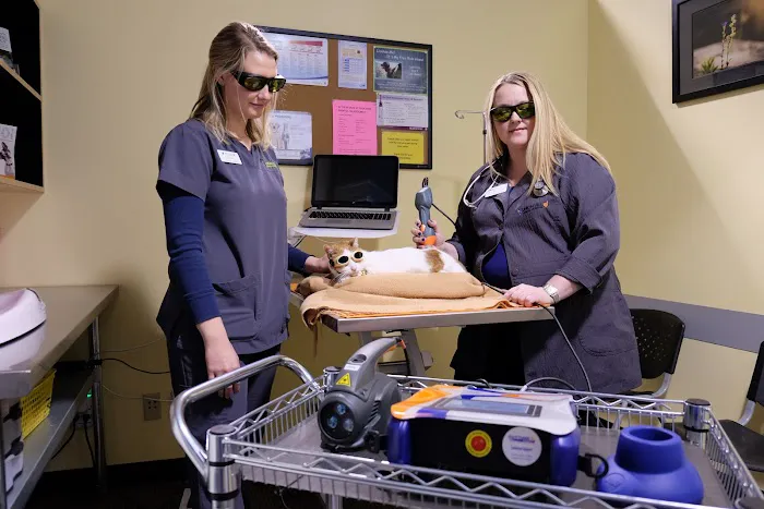 Union Hill Animal Hospital Picture 4