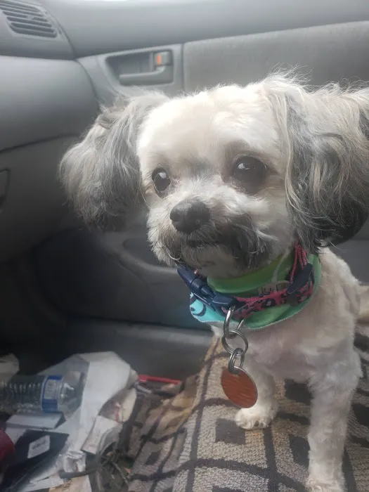 Northeast Animal Hospital Picture 2