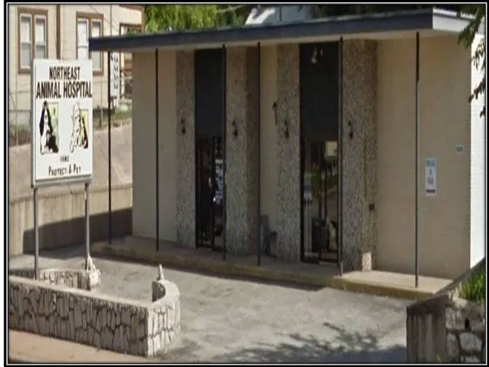 Northeast Animal Hospital Picture 1