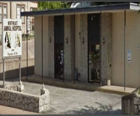 Northeast Animal Hospital