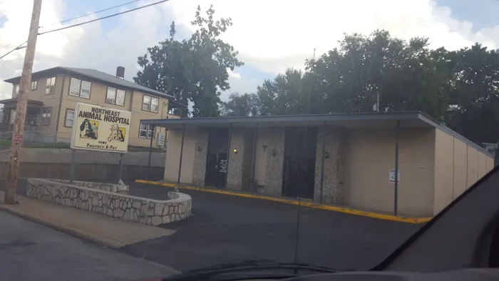 Northeast Animal Hospital Picture 4