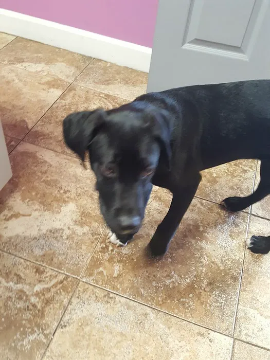 Northeast Animal Hospital Picture 10