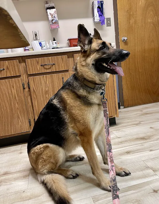 Bethel Animal Hospital Picture 4