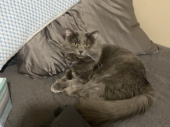 Bethel Animal Hospital Picture 3