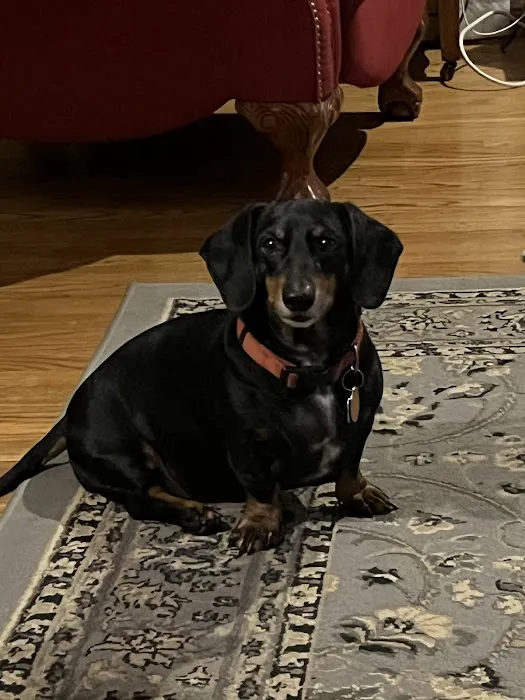 Bethel Animal Hospital Picture 1