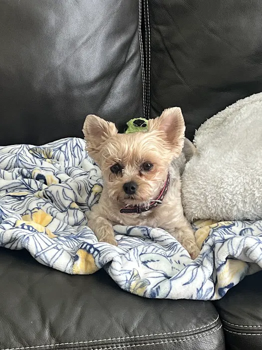 Bethel Animal Hospital Picture 7