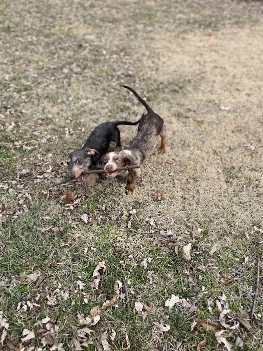 Bethel Animal Hospital Picture 10