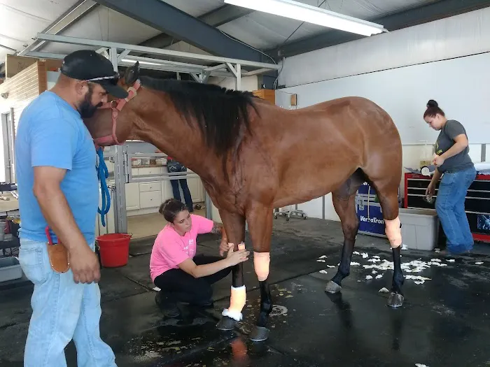 Strain Equine Services, LLC Picture 3