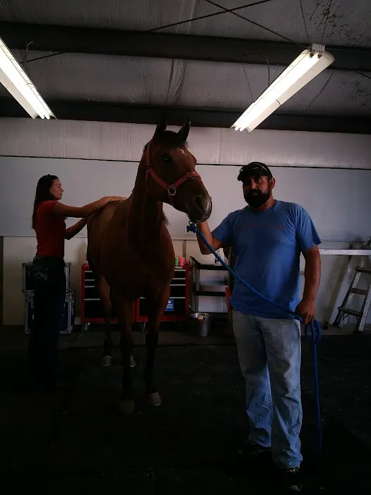 Strain Equine Services, LLC Picture 1