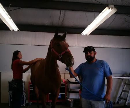 Strain Equine Services, LLC