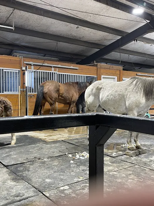 Strain Equine Services, LLC Picture 6