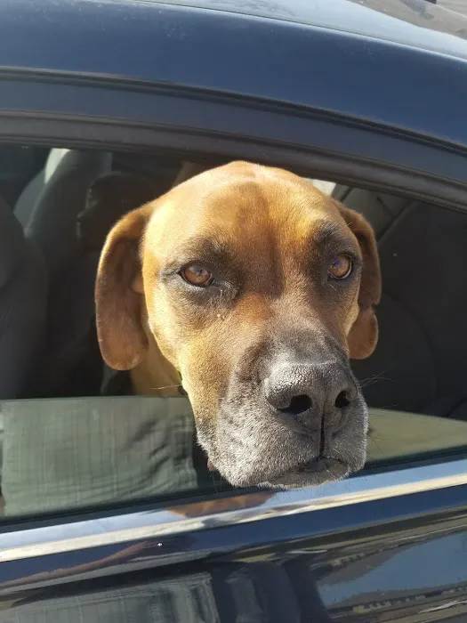 Atchison Animal Clinic Picture 1