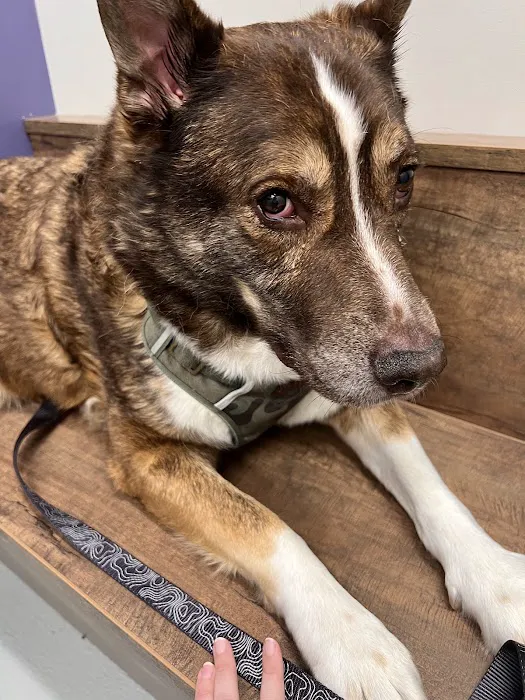 Atchison Animal Clinic Picture 3