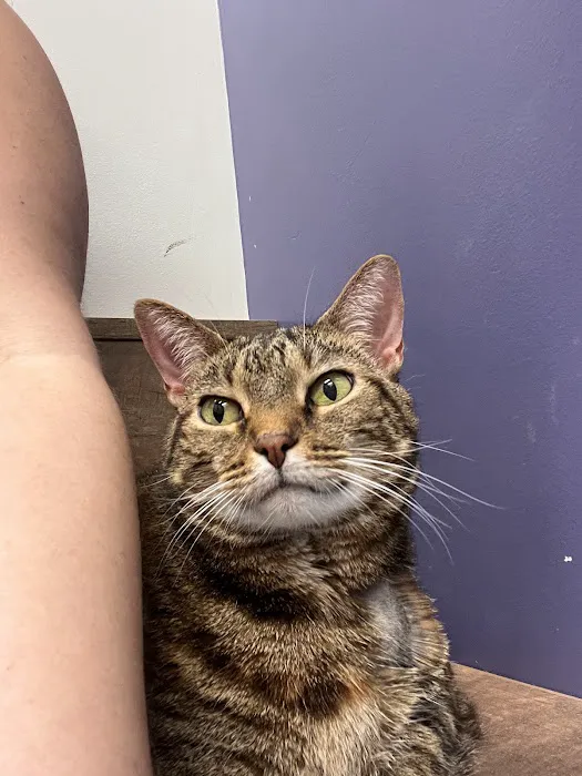 Atchison Animal Clinic Picture 5