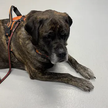 Atchison Animal Clinic Picture 2