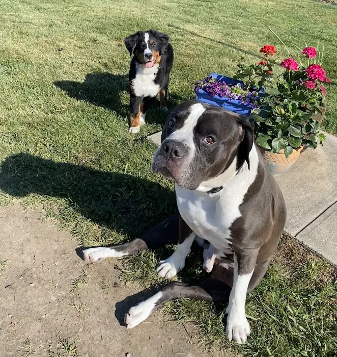 Atchison Animal Clinic Picture 9