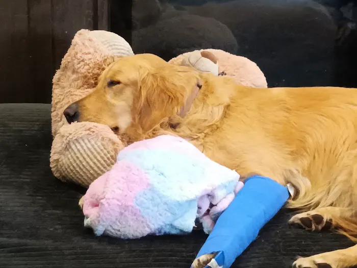 Atchison Animal Clinic Picture 6