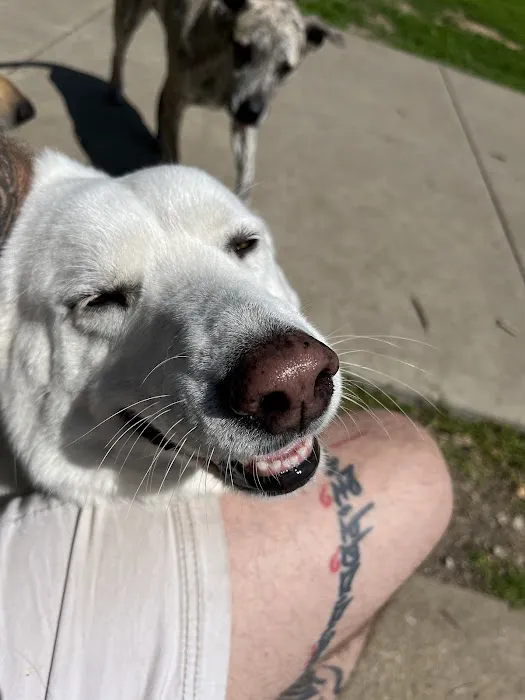 Cedar Ridge Veterinary Clinic Picture 3