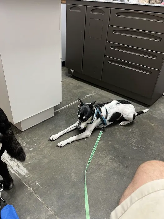 Cedar Ridge Veterinary Clinic Picture 1