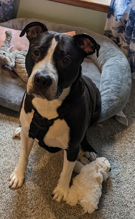 Cedar Ridge Veterinary Clinic Picture 7