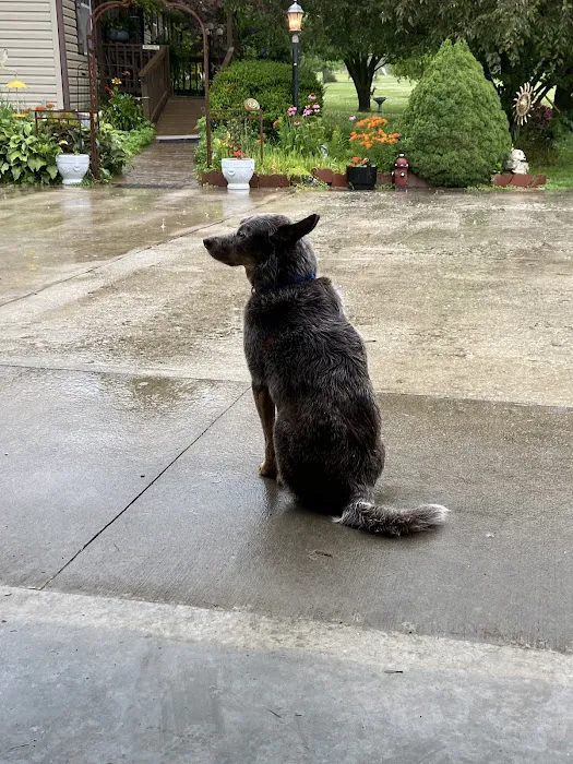 Westside Veterinary Hospital Picture 1