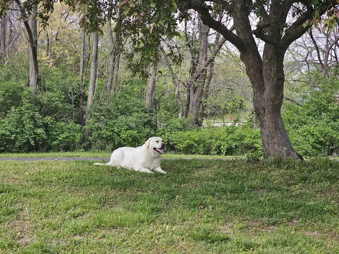 Westside Veterinary Hospital Picture 3