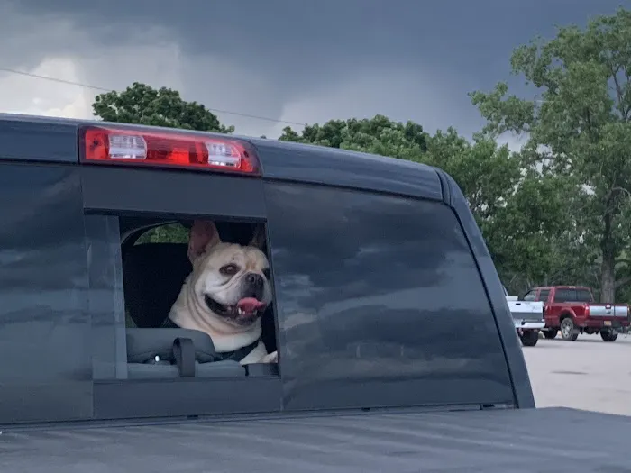 Oskaloosa Animal Clinic Picture 3