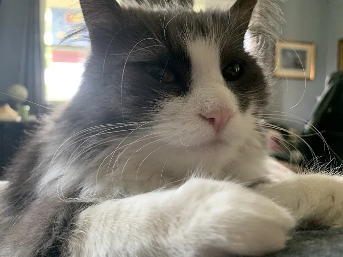 Oskaloosa Animal Clinic Picture 2