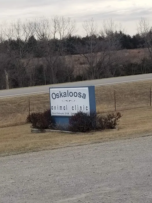 Oskaloosa Animal Clinic Picture 9