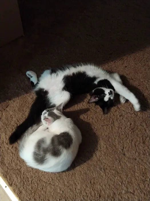 Oskaloosa Animal Clinic Picture 10