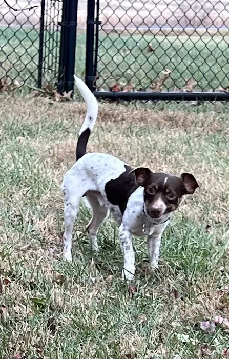 Smith Veterinary Clinic Picture 1