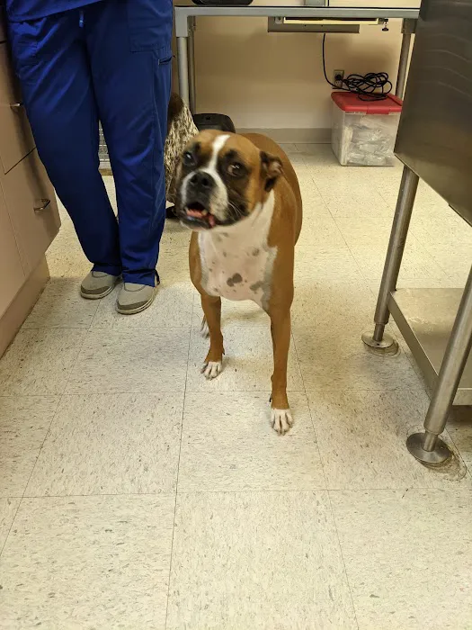 Smith Veterinary Clinic Picture 3