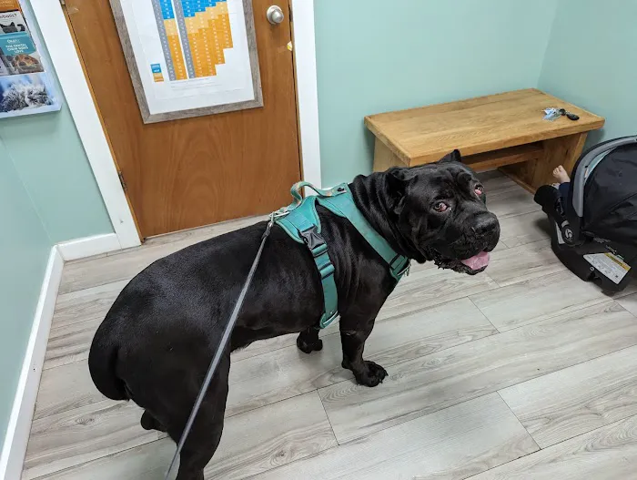 Pleasant Valley Veterinary Clinic Picture 1