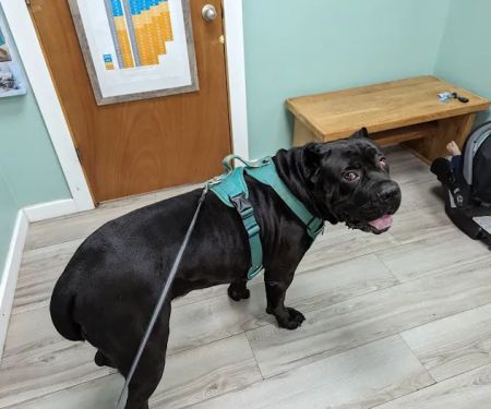 Pleasant Valley Veterinary Clinic