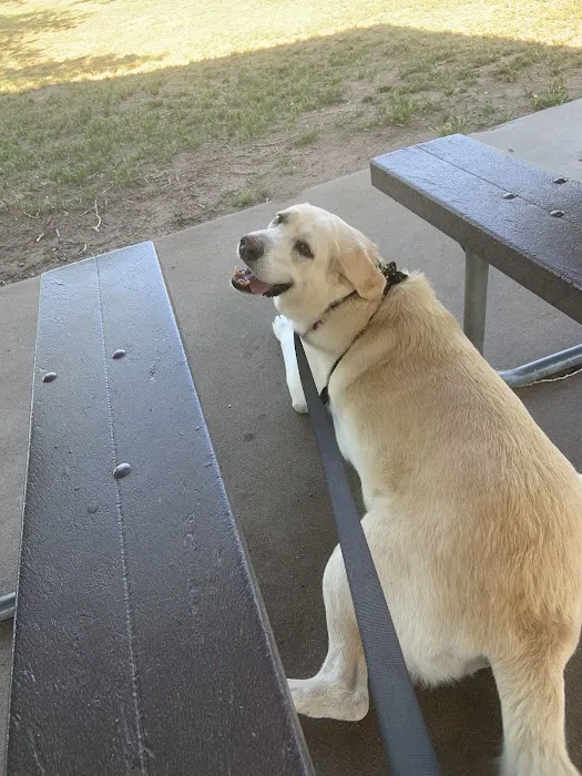 Pleasant Valley Veterinary Clinic Picture 2