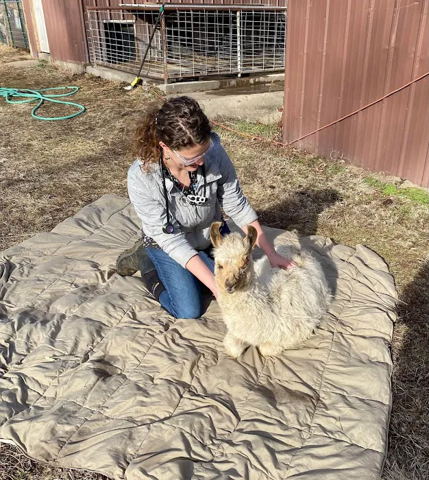 Pleasant Valley Veterinary Clinic Picture 8