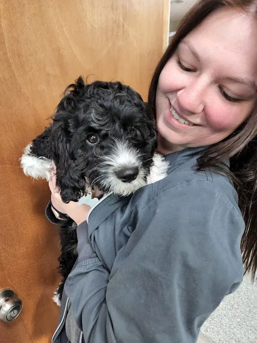 Pleasant Valley Veterinary Clinic Picture 7