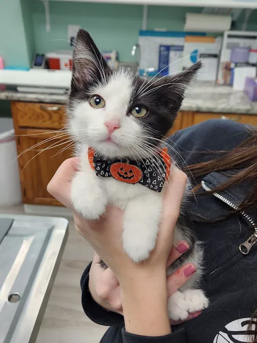 Pleasant Valley Veterinary Clinic Picture 9