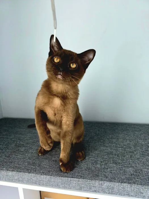 Bonner Springs Animal Care Center Picture 1